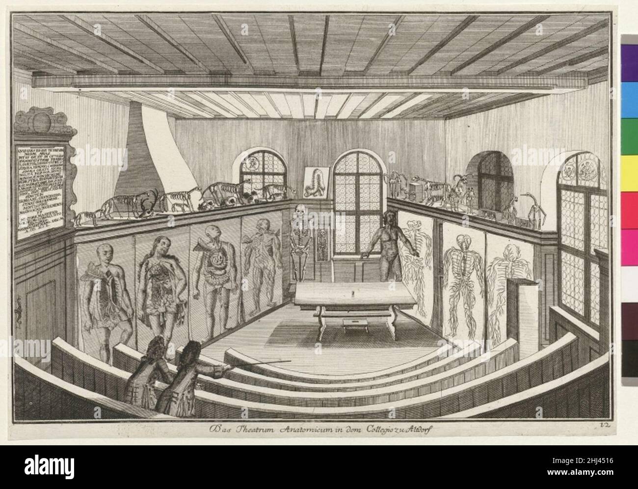 Stich - Das Theatrum Anatomicum in dem Collegio zu Altdorf. Banque D'Images