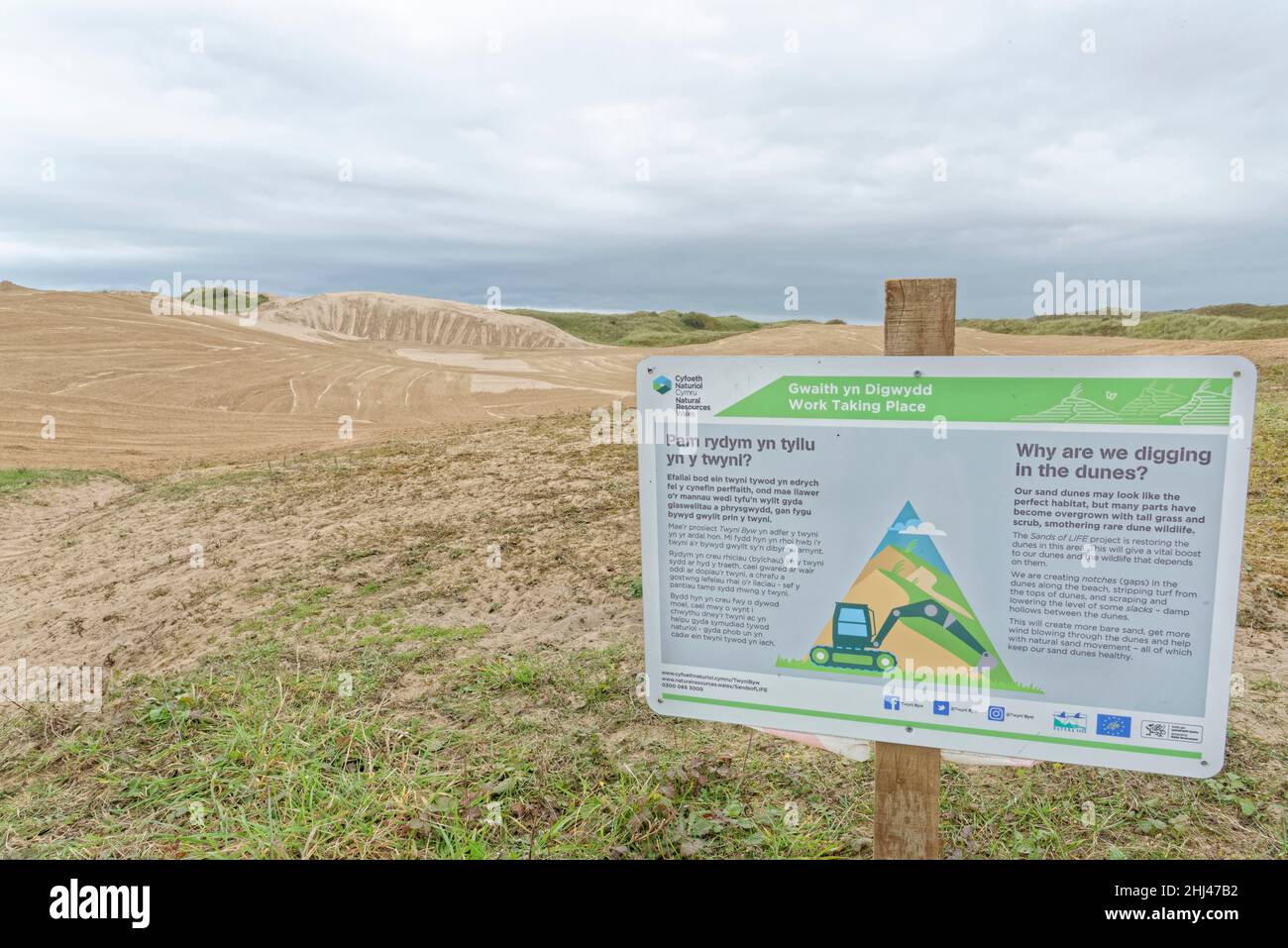 Les dunes de sable côtières ont récemment été dégagées de végétation par le projet Sands of Life pour accroître la diversité des espèces sauvages et des plantes, Merthyr Mawr Warren NNR, G Banque D'Images