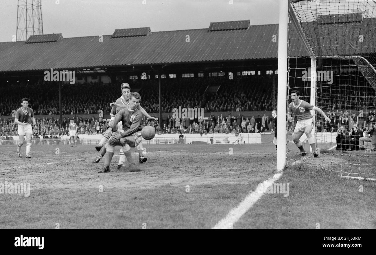 English League Division un match à Stamford Bridge.Chelsea 4 v Nottingham Forest 3.Peter Grummitt, gardien de forêt, tente d'empêcher Jimmy Greaves de Chelsea de marquer des points.Greaves a marqué quatre buts lors de son match final pour le club.29th avril 1961. Banque D'Images