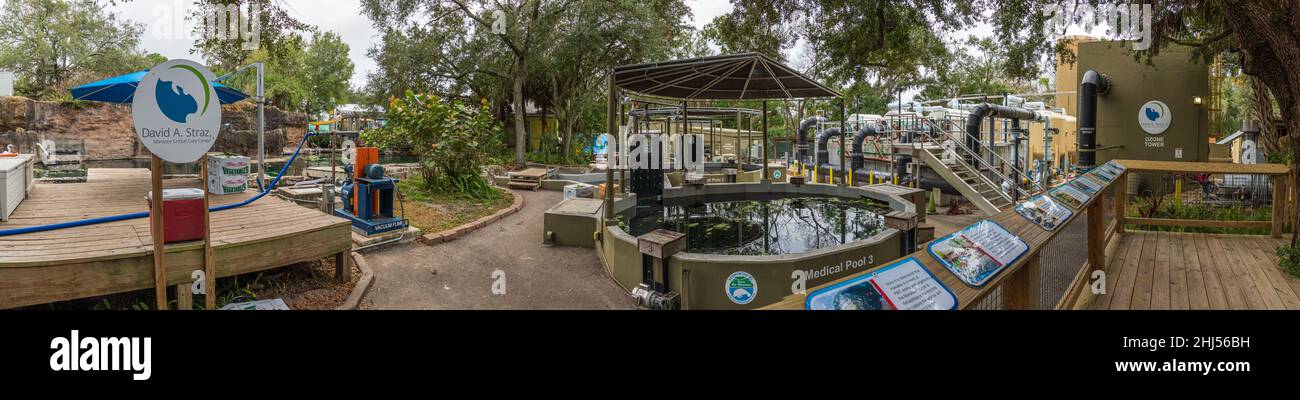 Le David A. Straz Jr. Manatee Critical Care Center à ZooTampa à Lowry Park - Tampa, Floride, États-Unis Banque D'Images