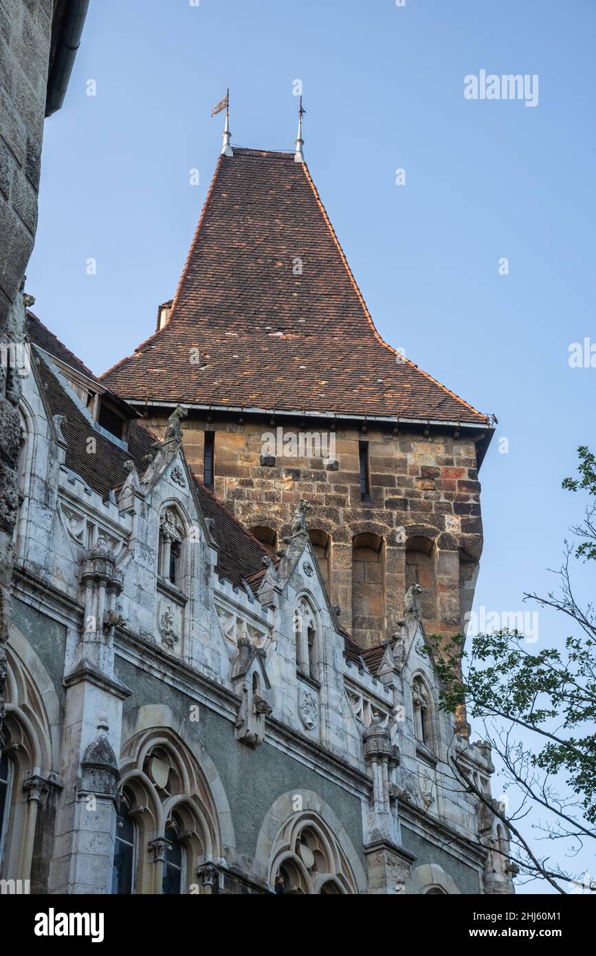 Budapest, Hongrie 21.08.2021.Château de Vajdahunyad dans le parc de la ville de Budapest, Hongrie, un matin ensoleillé d'été Banque D'Images