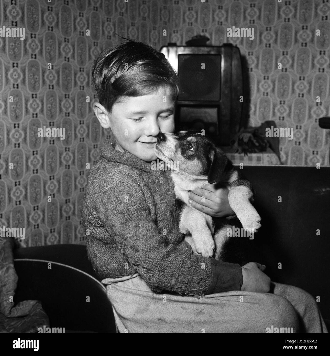 Elle est la fille de l'effronée, et tout comme la maman - le chien miroir quotidien de l'année 1956 - elle cherche un tapis de santé de rechange pour se détendre dessus.Un peu effroné a trouvé des hers.Des milliers de lecteurs de miroir de coeur de genre offert des maisons.Et maintenant elle vit à Woodhouse Park, Manchester.Elle avait ses petits il y a dix semaines.Deux ont trouvé des maisons.Maintenant, l'étrange pup dehors est de garder ses pattes croisées et en espérant que quelque chose va se retourner pour elle aussi.Derrick Davies (6), fils des propriétaires de Scruffy, est photographié avec le dernier des petits.21st janvier 1958. Banque D'Images