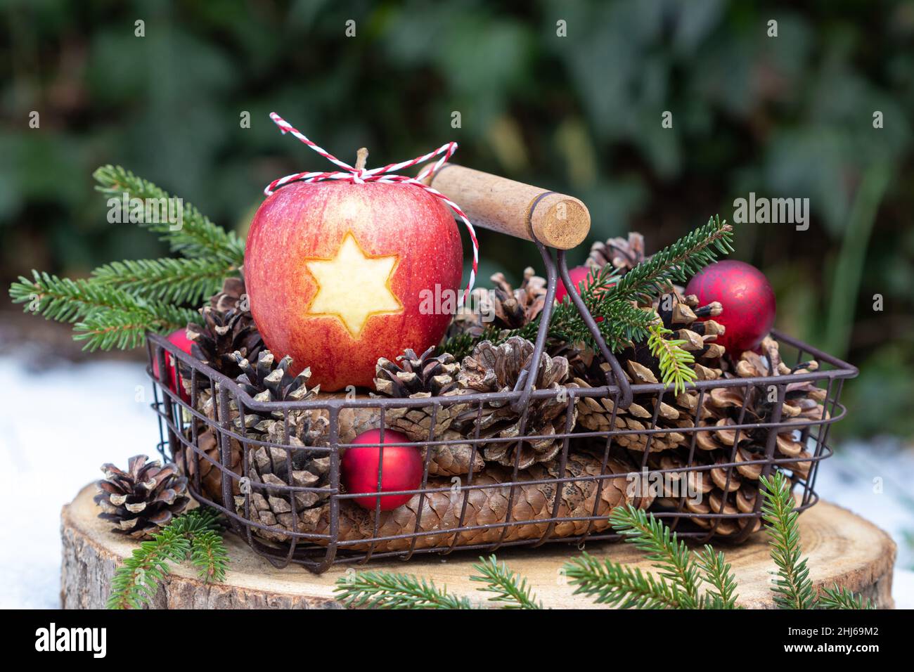 pomme avec décoration étoile et cônes dans le panier comme décoration de noël Banque D'Images