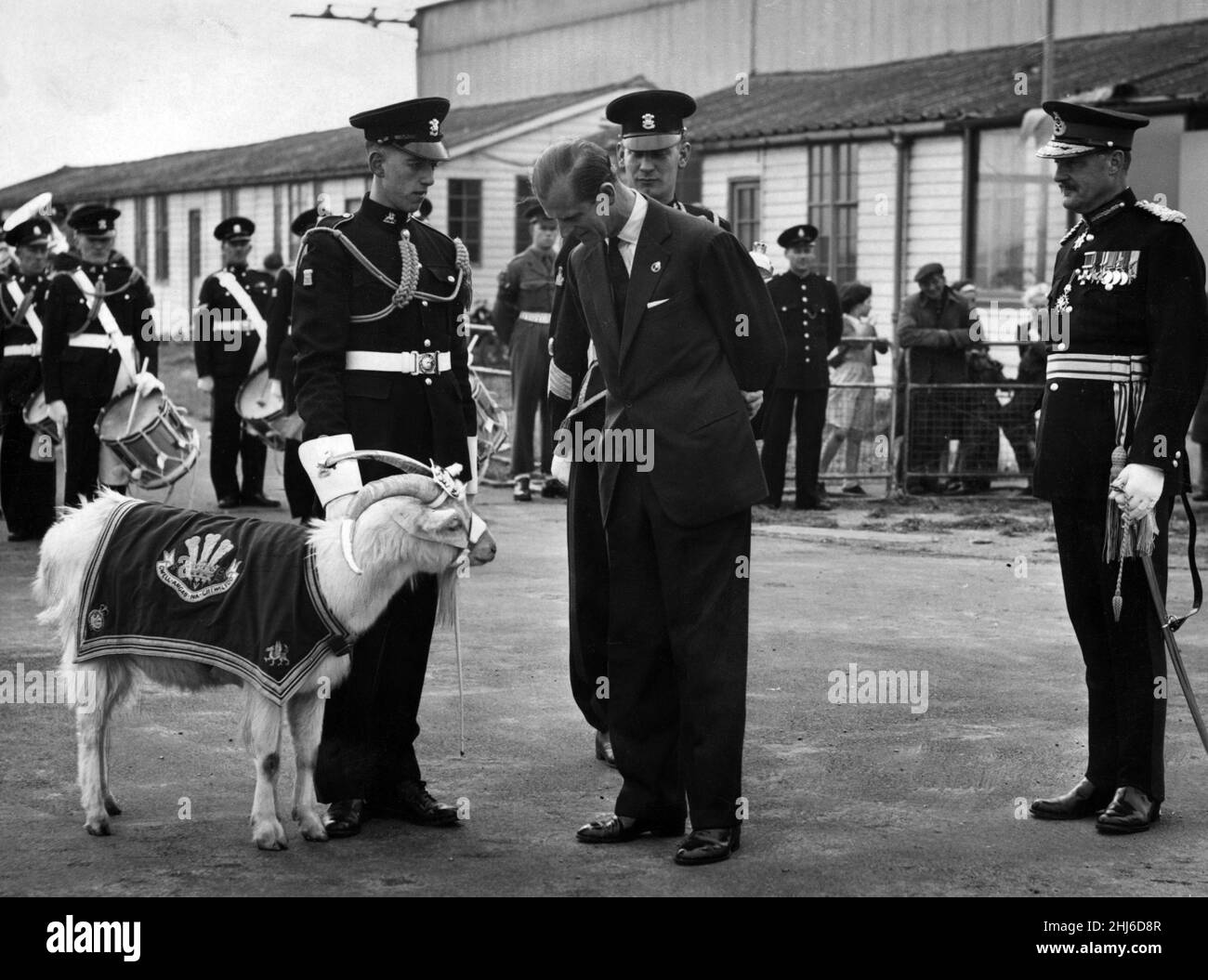 Le prince Philip, duc d'Édimbourg, parle au major de Goat et regarde la mascotte de chèvre du Welch Regiment avant de partir de l'aéroport de Pengam Moors, à Cardiff.29th avril 1957. Banque D'Images