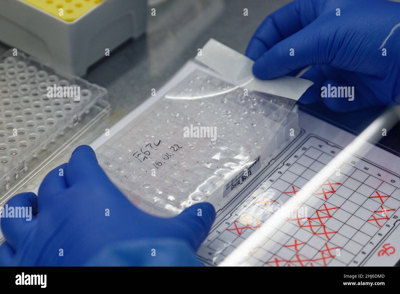 Bonn, Allemagne.26th janvier 2022.Un employé du laboratoire CBT couvre