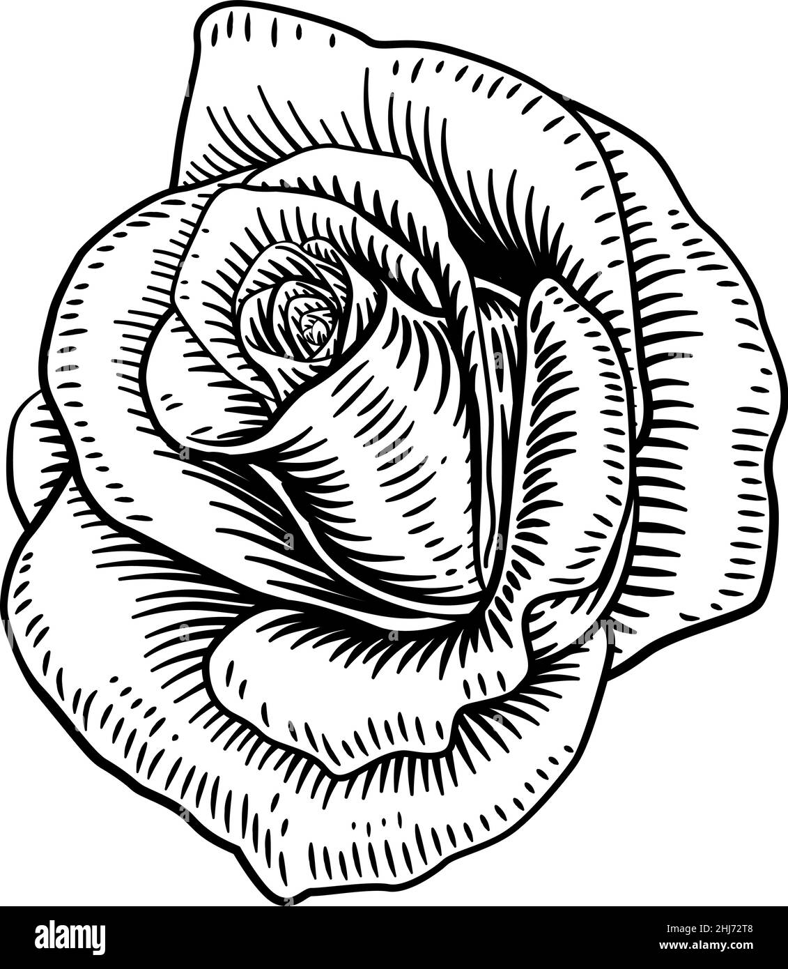 Dessin de bois vintage à fleurs roses Illustration de Vecteur