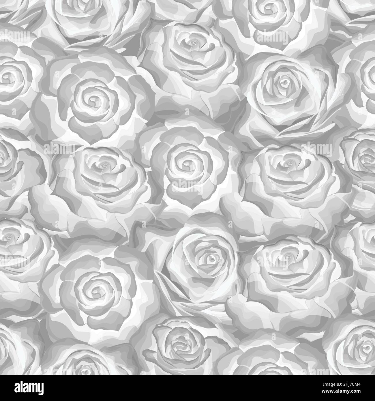 Magnifique motif monochrome blanc et gris sans couture en roses avec contours Illustration de Vecteur