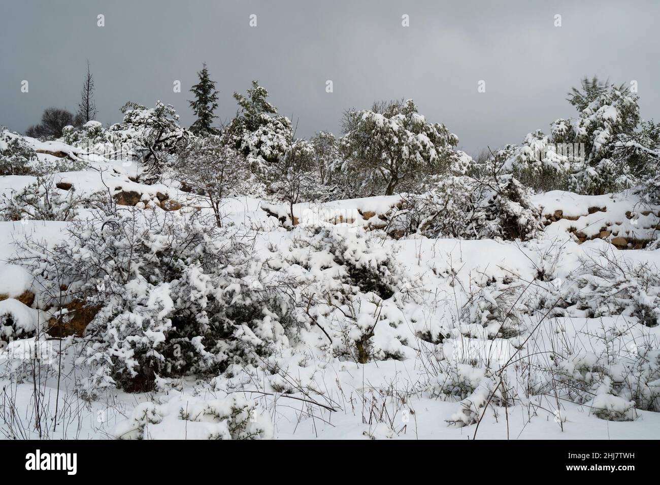 Neige recouvrant les montagnes de la Judée, près de Jérusalem, Israël, à l'aube. Banque D'Images