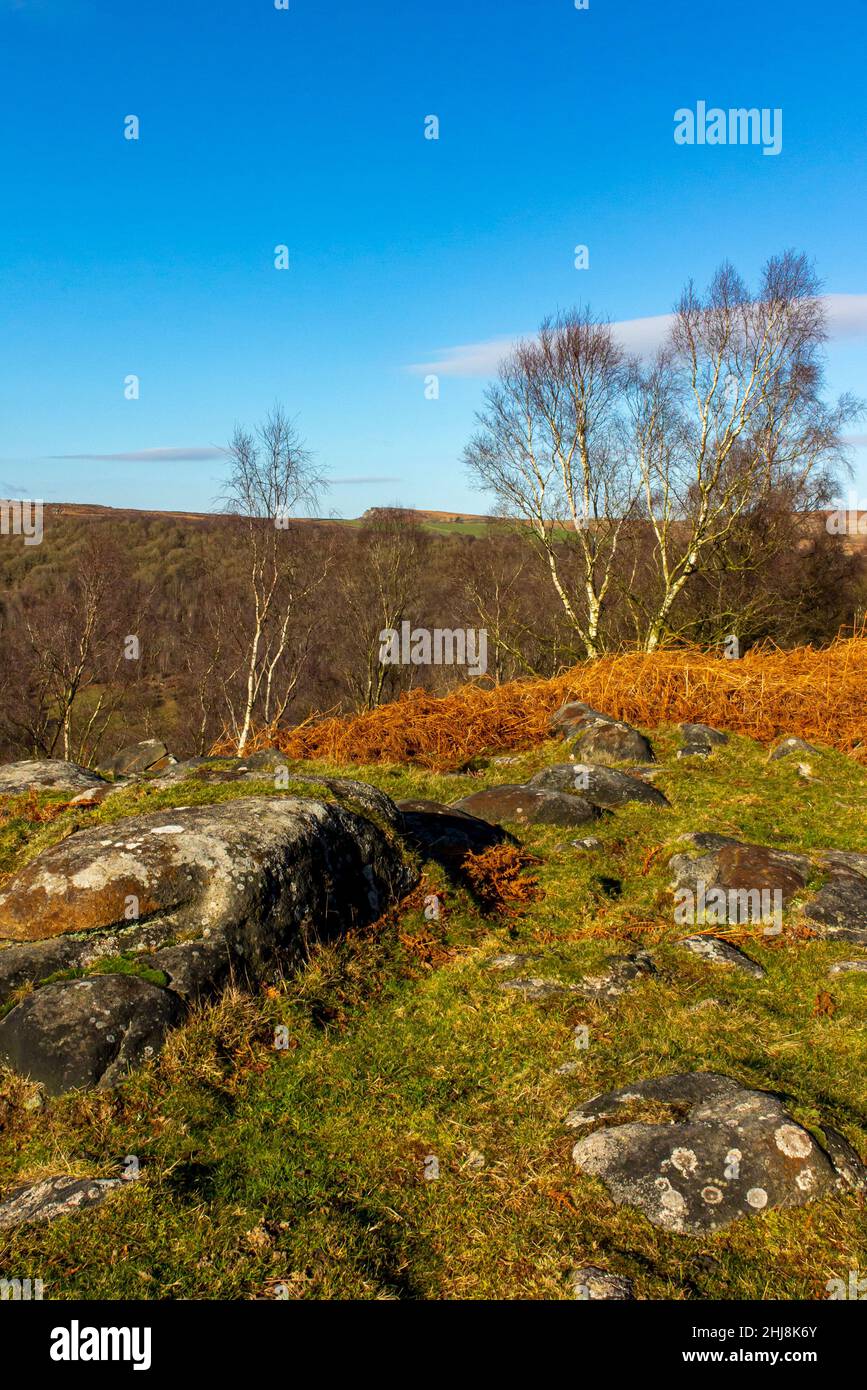 Vue d'hiver avec rochers et arbres à Gardom's Edge Near Baslow dans le parc national de Peak District Derbyshire Angleterre Royaume-Uni Banque D'Images