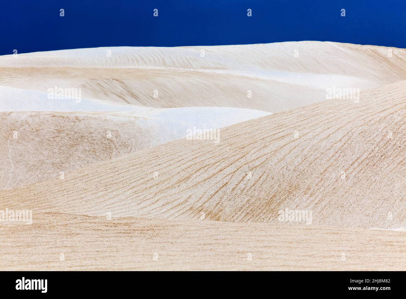 Dune de sable blanc à la baie de Hangover, parc national de Nambung.Australie occidentale. Banque D'Images