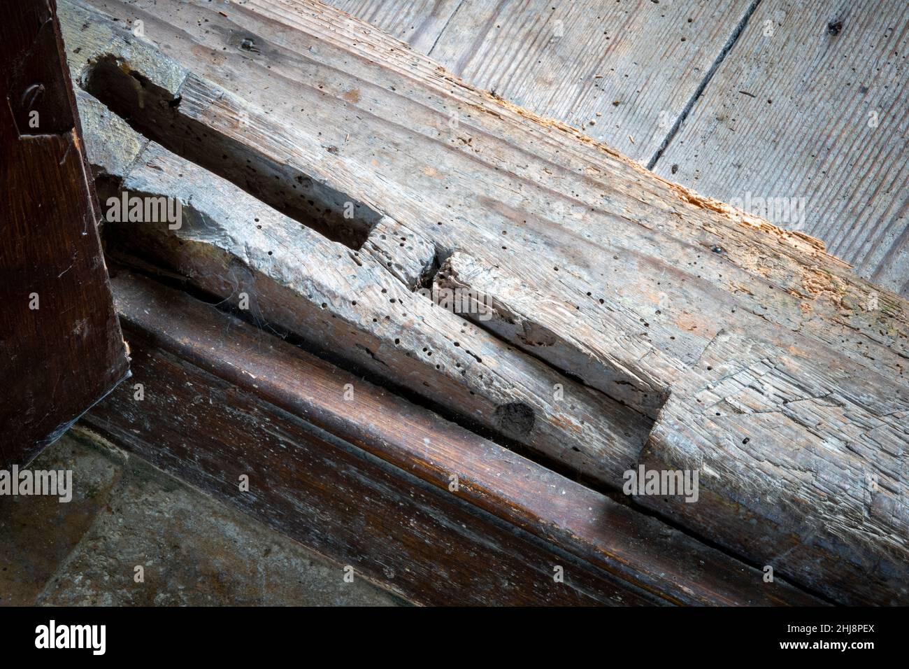 Réparations de l'épissure du plancher dans la boîte de pews St Lawrence Church Brundish, Suffolk, Royaume-Uni Banque D'Images