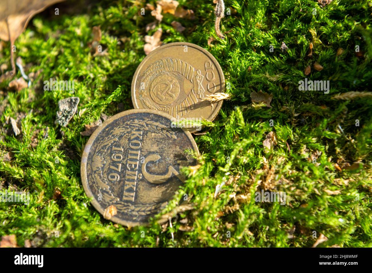 Vieilles pièces de monnaie dans la forêt sur la mousse verte Banque D'Images