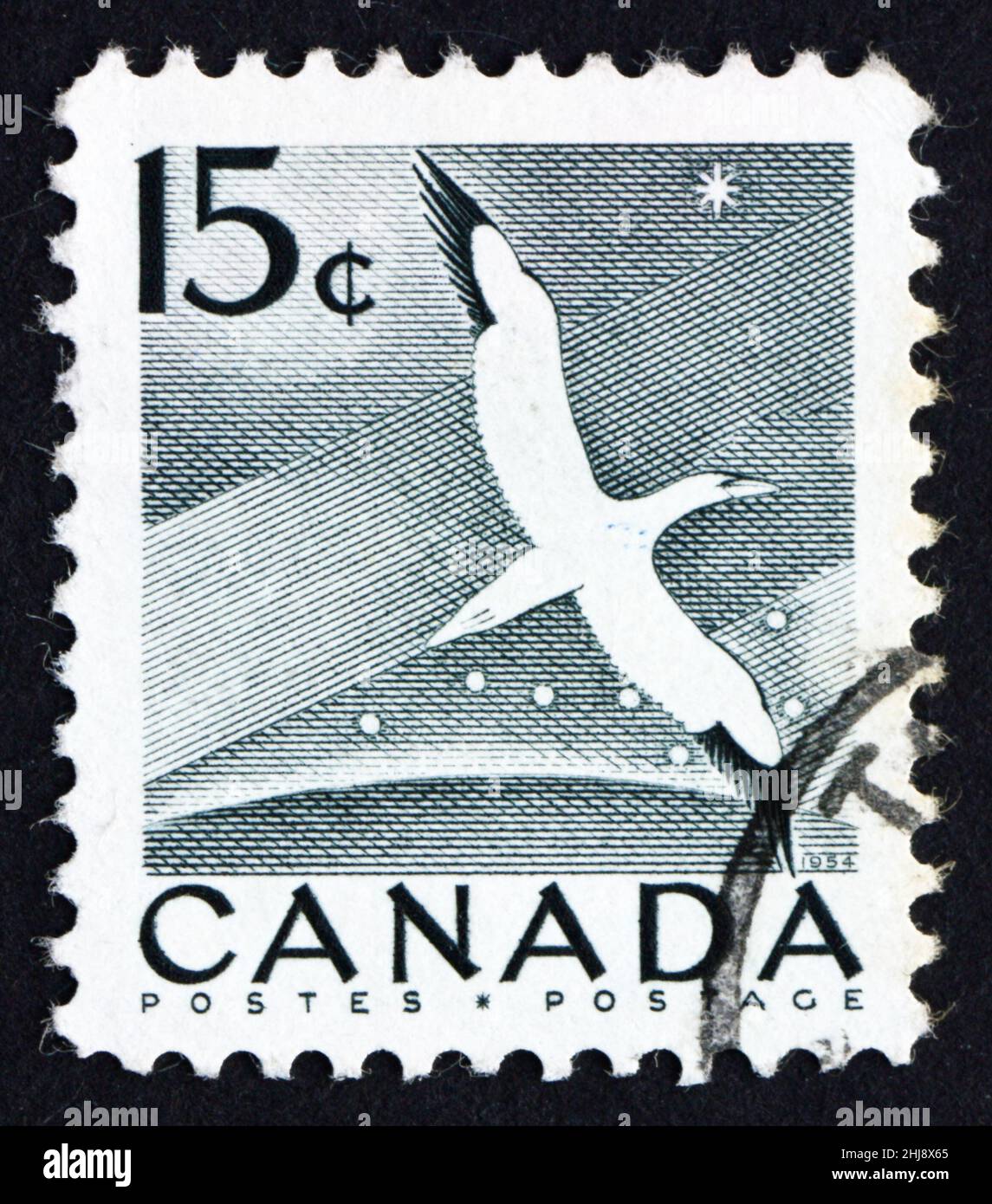 CANADA - VERS 1954 : un timbre imprimé au Canada montre Gannet, Bird, vers 1954 Banque D'Images