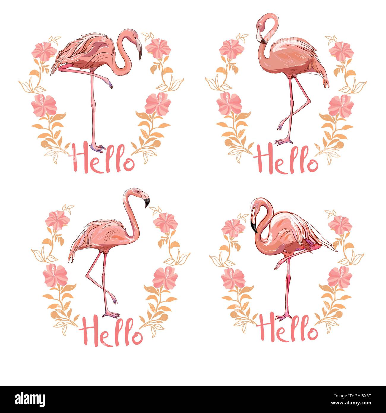 Rose flamant, vecteur, illustration oiseau dessin tropical Illustration de Vecteur