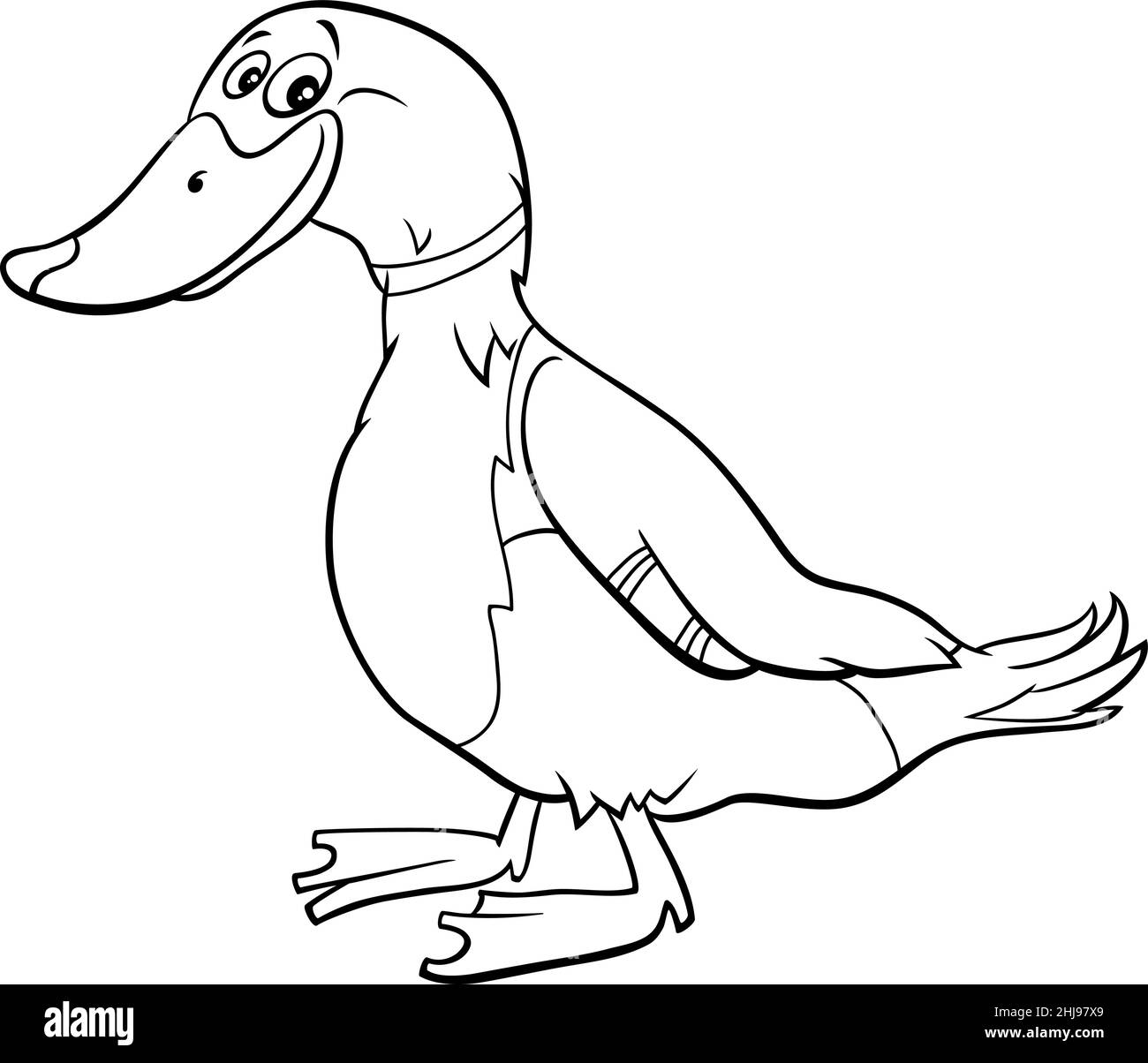 Dessin animé noir et blanc illustration de drôle de canard sauvage ...