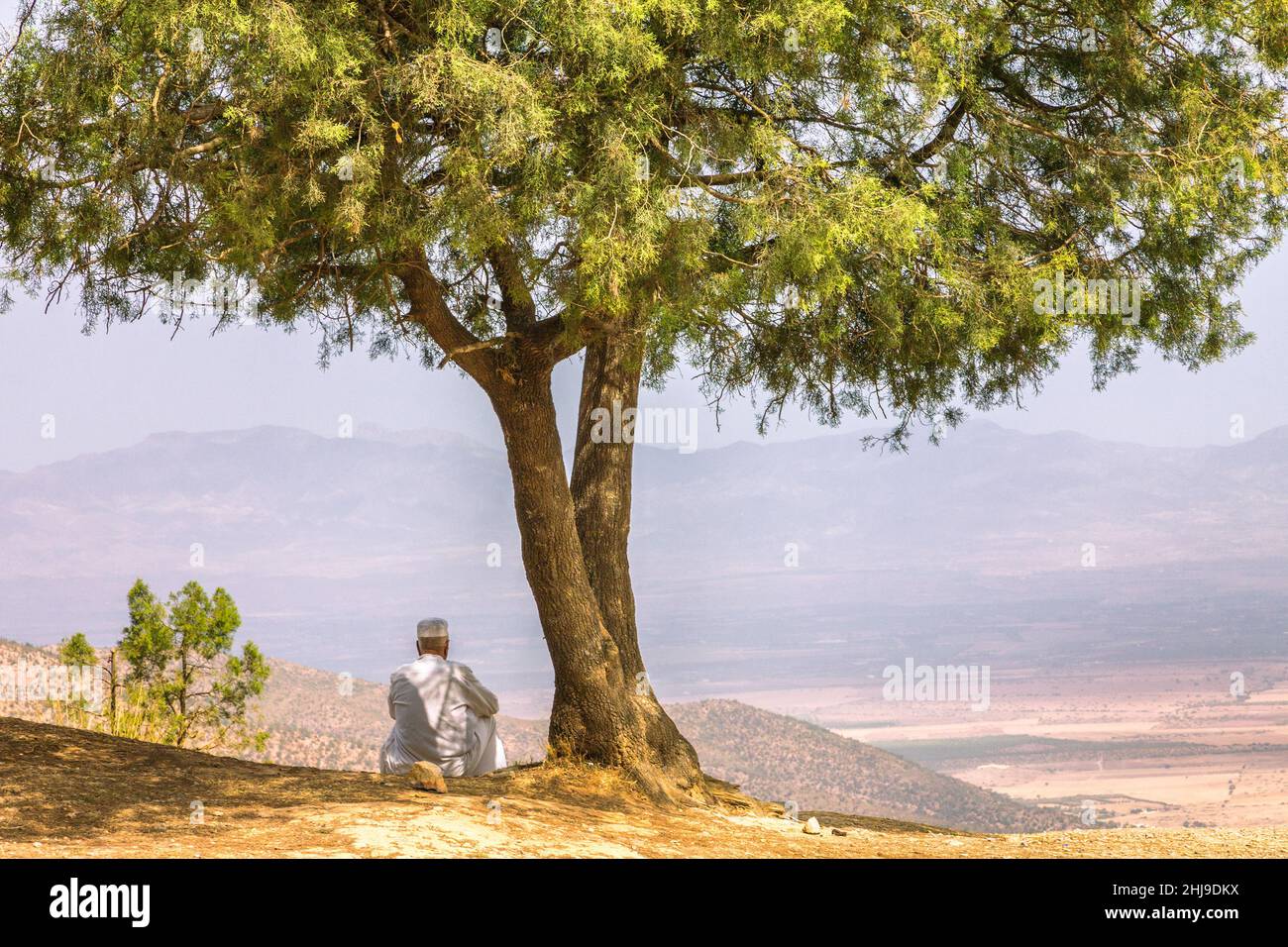 Un homme assis près d'un arbre au sommet d'une montagne, en regardant sur le paysage environnant.Les monts Beni Snassen dans le nord-est du Maroc, en Afrique. Banque D'Images