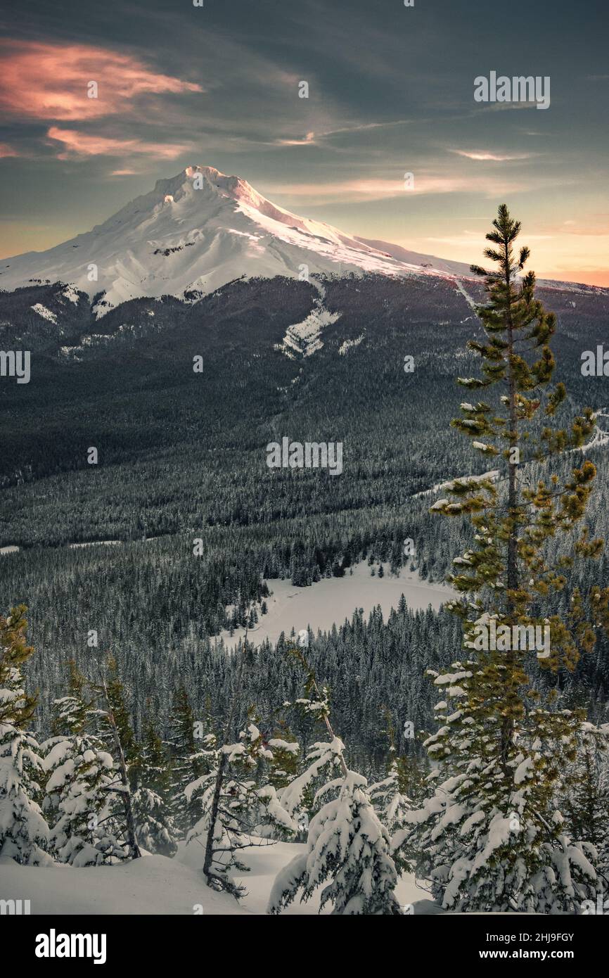 Vue majestueuse du Mont Hood vue d'un coucher de soleil d'hiver prise de la forêt nationale du Mont Hood en Oregon en hiver Banque D'Images