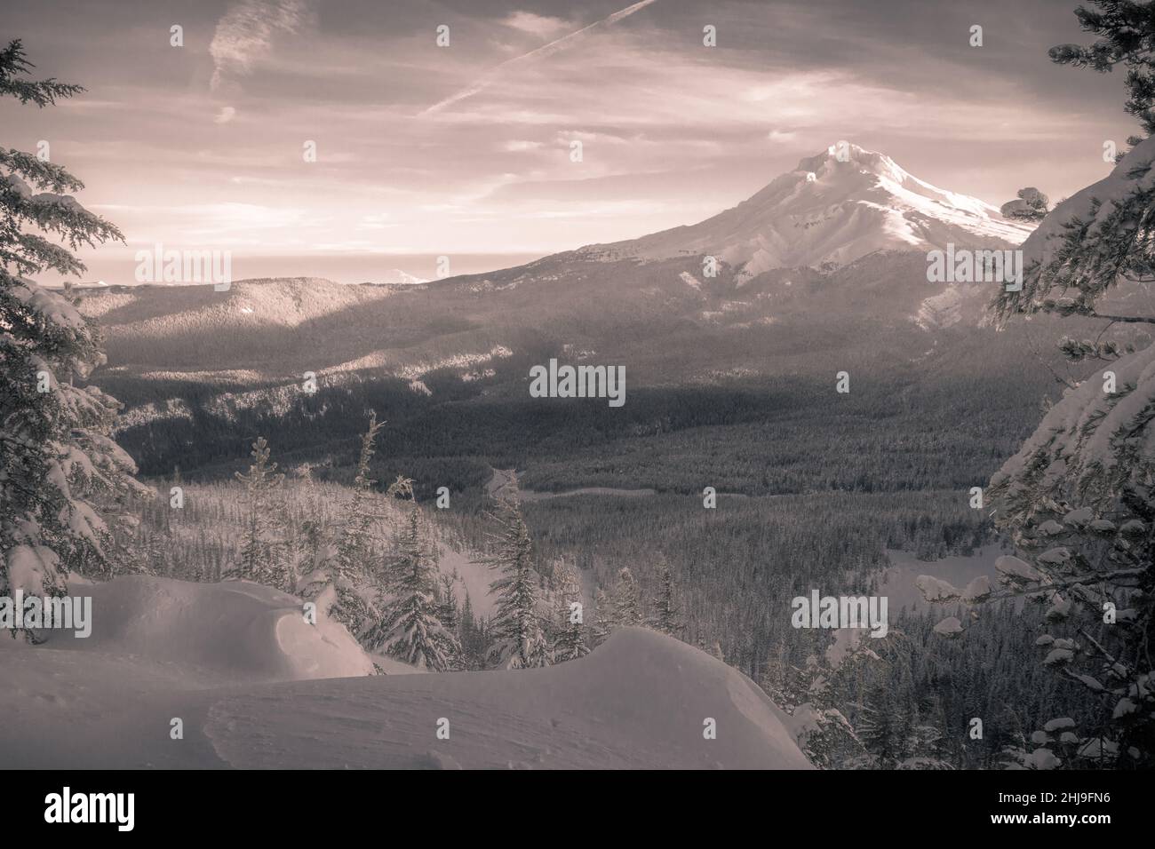 Vue majestueuse en noir et blanc du mont Hood pendant le coucher de soleil d'hiver depuis la forêt nationale du mont Hood en Oregon en hiver Banque D'Images