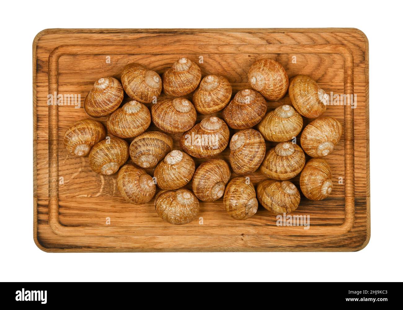 Gros plan sur deux douzaines d'escargots de terre d'escargot sur une planche à découper en bois de chêne brun, isolée sur fond blanc, vue en hauteur, directement au-dessus Banque D'Images