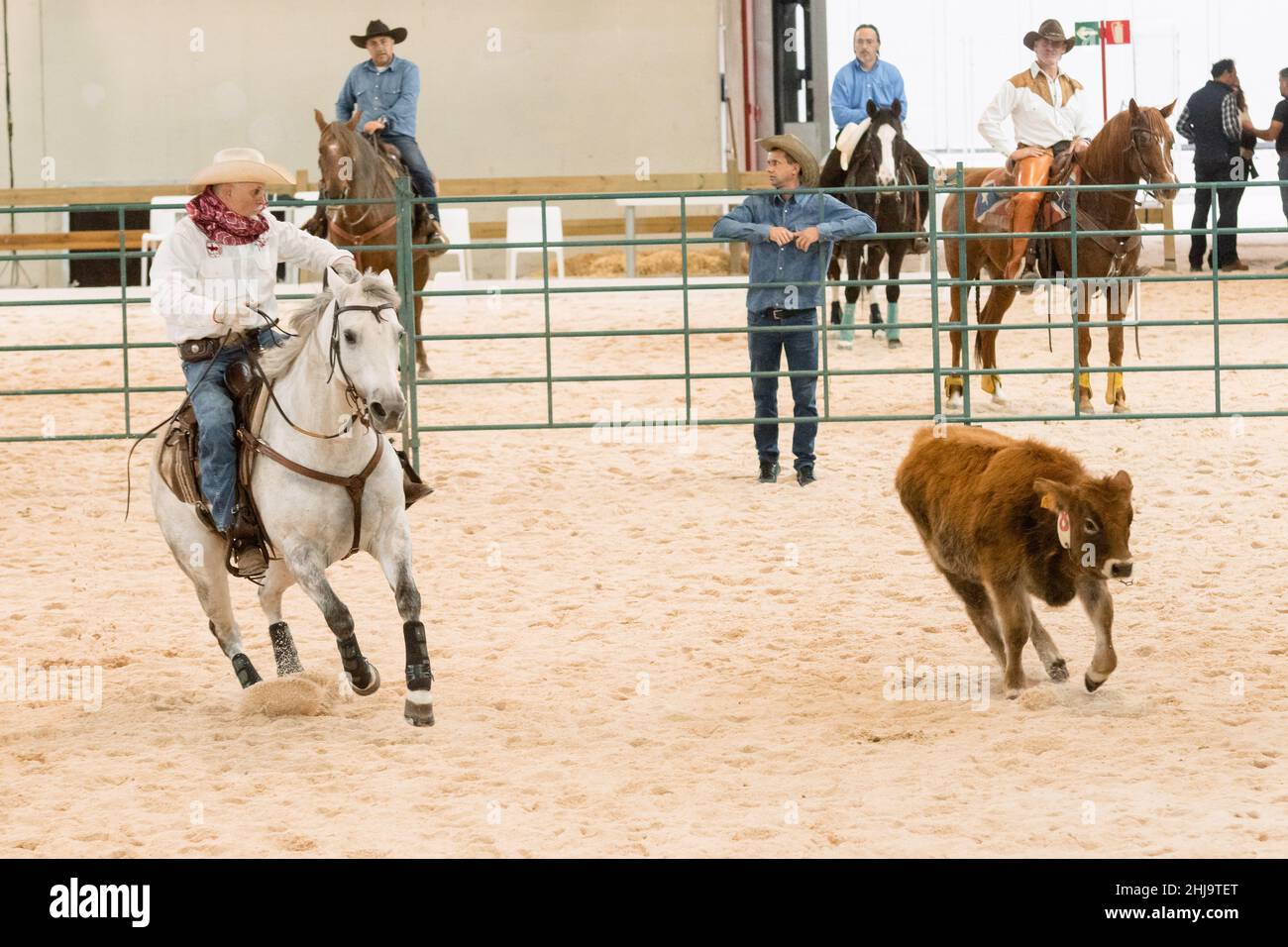 Exposition collective d'un travail de coupe de l'Ouest à la semaine du cheval de madrid 2019 Banque D'Images