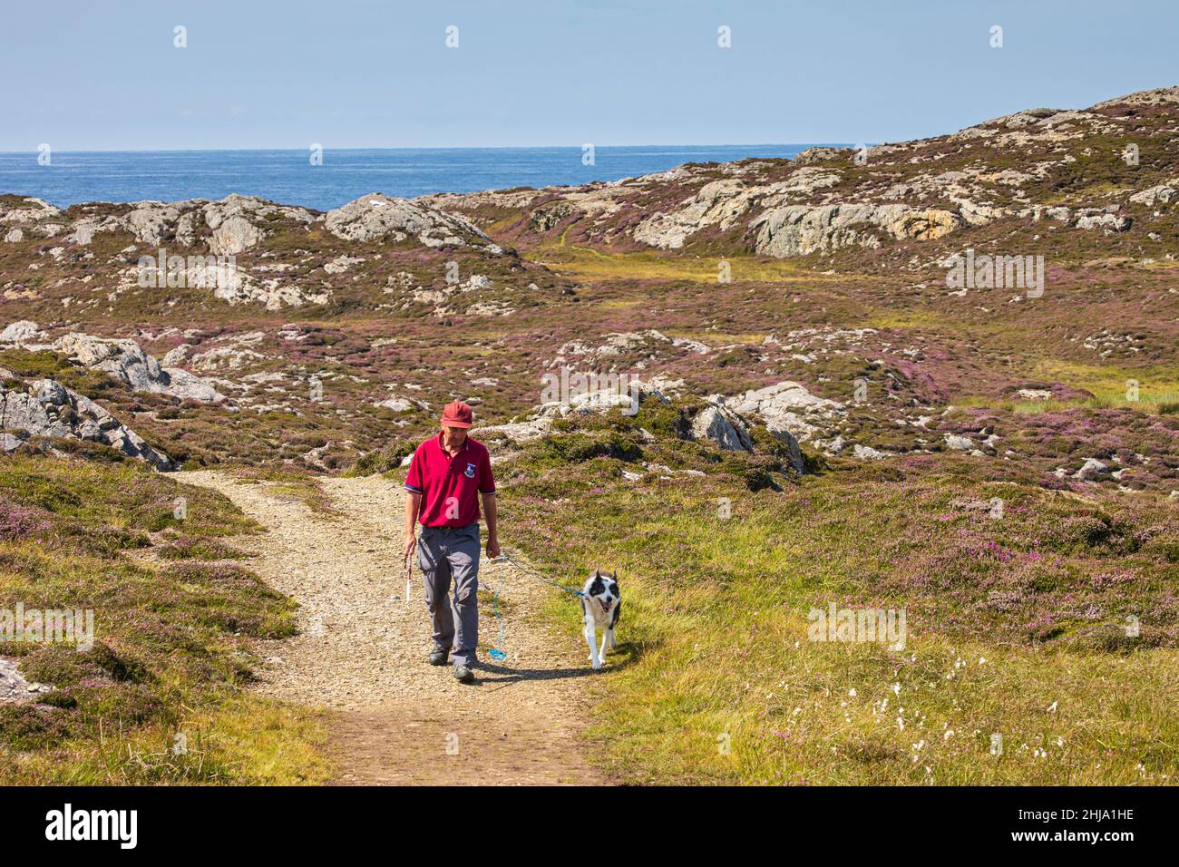 promener le chien Banque D'Images