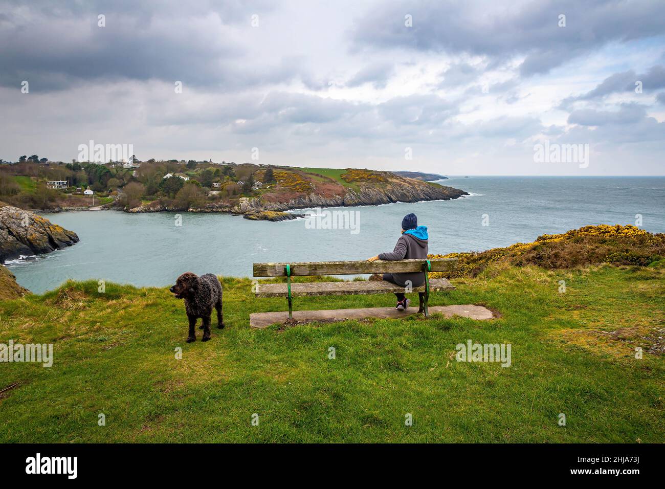 Lady et son chien noir Labradoodle s'assoient en regardant Porth Eilian sur l'île d'Anglesey Banque D'Images