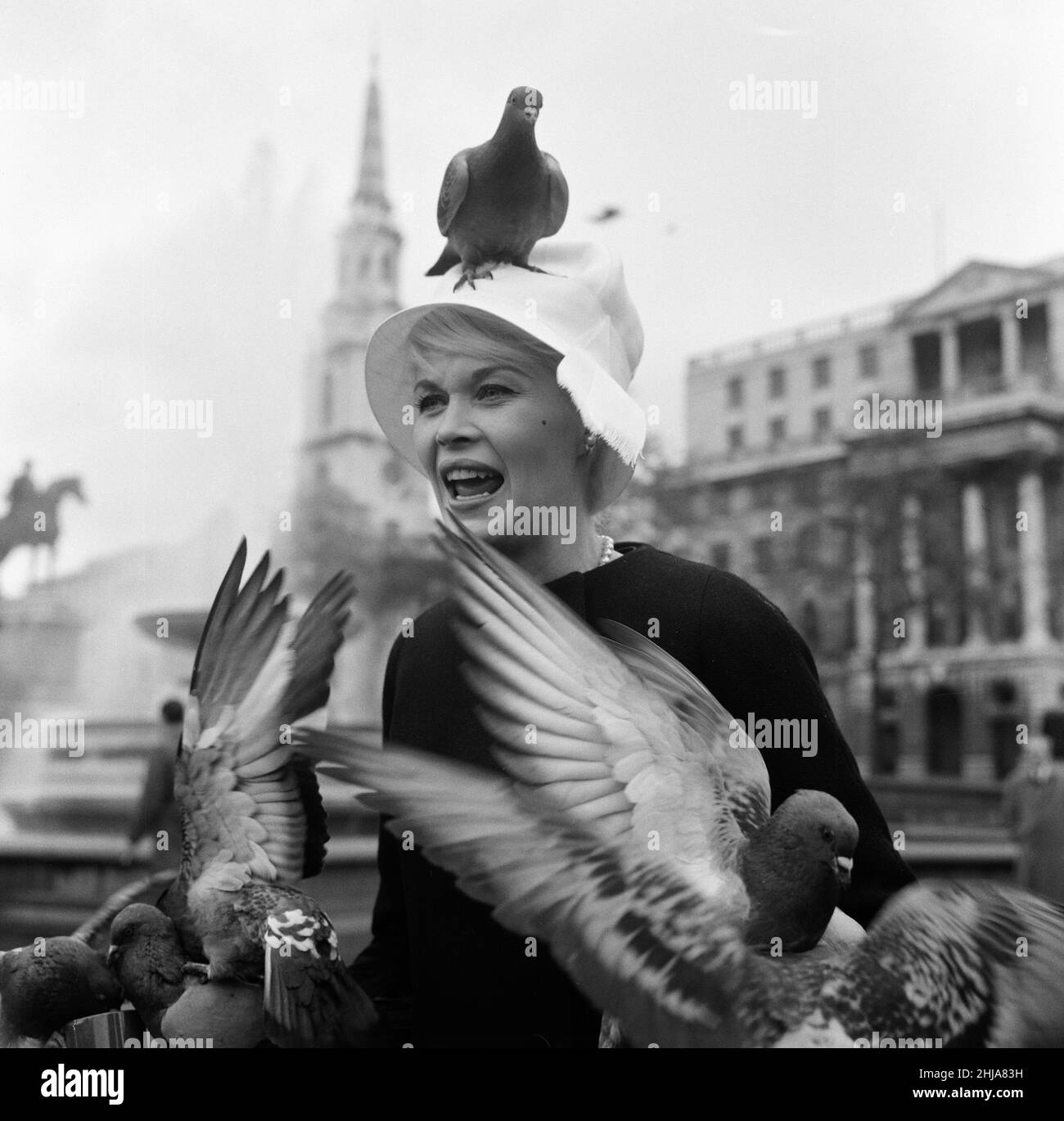 Lorsque Dorothy Provine, « rose », est arrivée à Londres aujourd'hui, elle voulait voir la ville et faire du caoutchouc à la découverte des sites célèbres.L'actrice américaine a été plus que accueillie par les pigeons de Trafalgar Square.22nd mai 1962. Banque D'Images