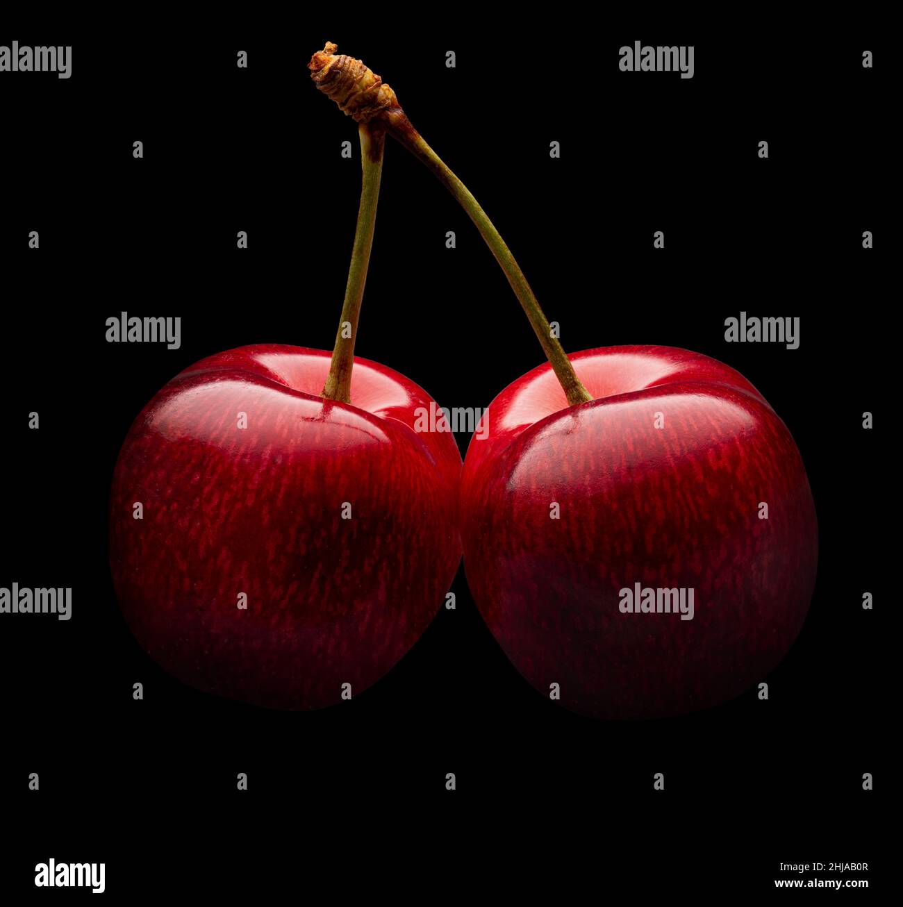 cerises rouges sur fond noir. Banque D'Images