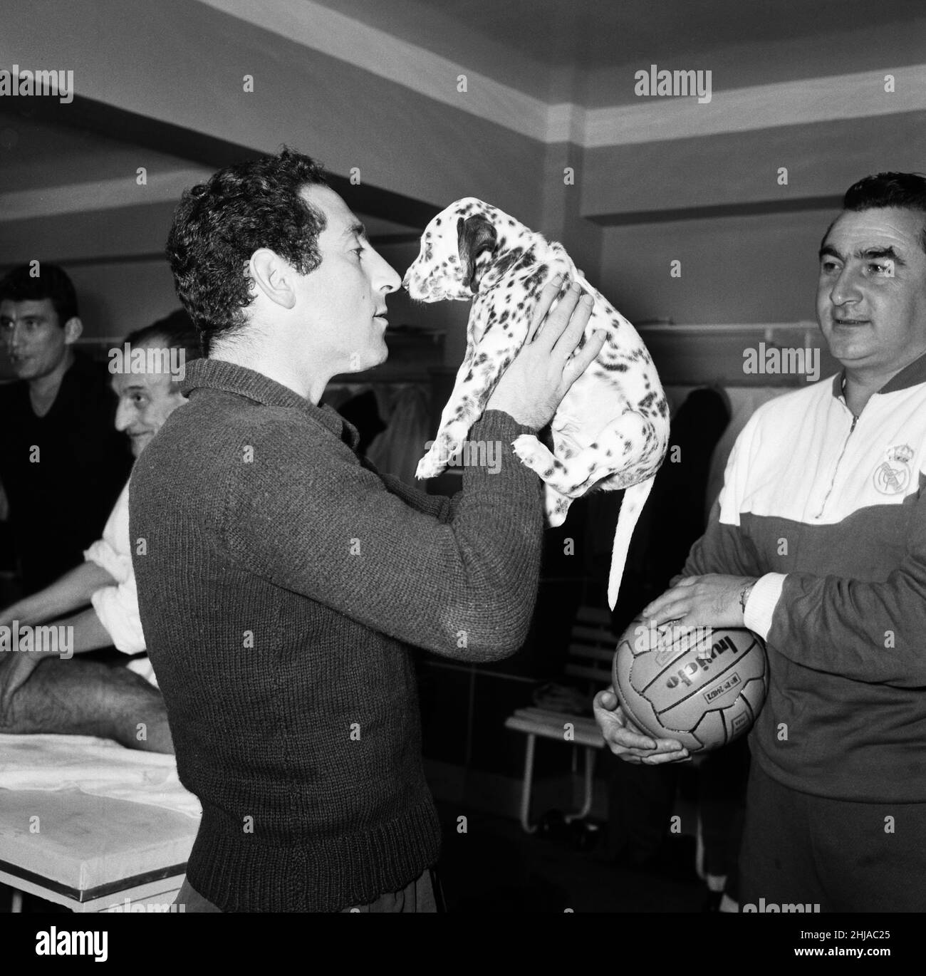 Dans les coulisses du Real Madrid football Club, stade Santiago Bernabeu, Madrid, Espagne, 24th mai 1964.Trois jours avant la finale de la coupe d'Europe contre l'Inter Milan.Photo, ailier gauche, Francisco Gento, avec son chiot dalmatien, la mascotte des équipes. Banque D'Images