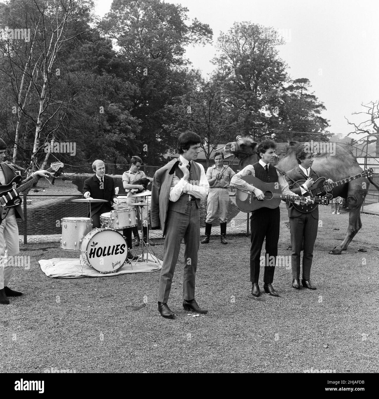Le groupe pop de Manchester les Hollies photographiés se présentant au zoo de Chessington devant les animaux.26th mai 1964. Banque D'Images