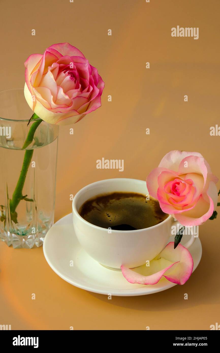 Rose tendre sur vase avec une tasse de café blanc sur fond rose pastel romantique étique és de terre de vacances petit déjeuner Creative carte de vœux fond lumière Rose tendre sur vase avec une tasse de café blanc sur fond rose pastel romantique étique és de terre de vacances petit déjeuner Creative carte de vœux fond lumière