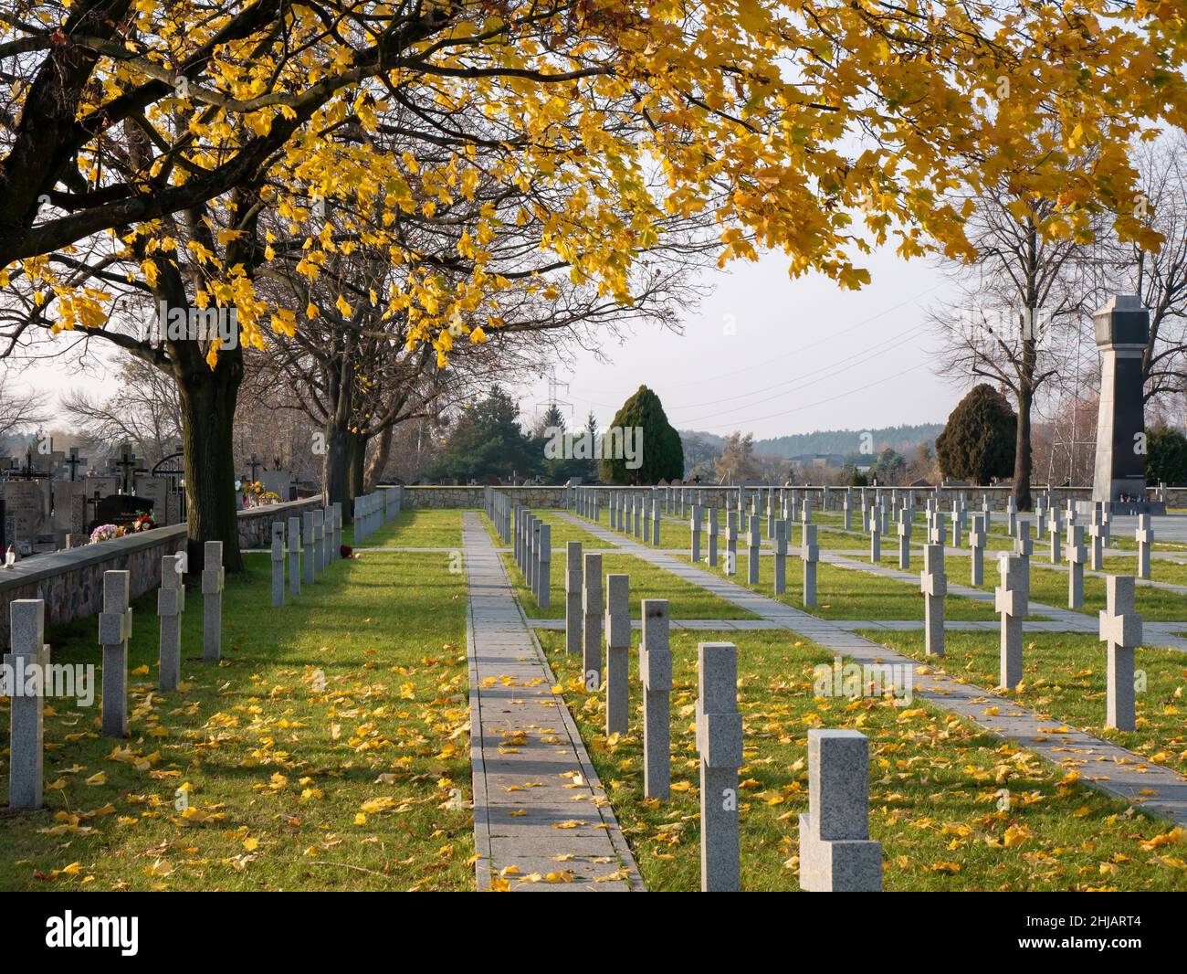 Cimetière militaire polonais Cmentarz o nierzy Bitwy nad Bzur à Sochachew, Pologne Banque D'Images