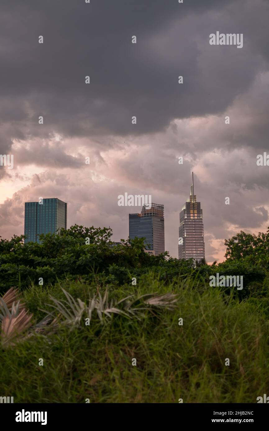 Photo des gratte-ciels au coucher du soleil dans le parc avec de l'herbe verte et des arbres.Vue sur la métropole avec des bâtiments modernes.Photo de haute qualité Banque D'Images