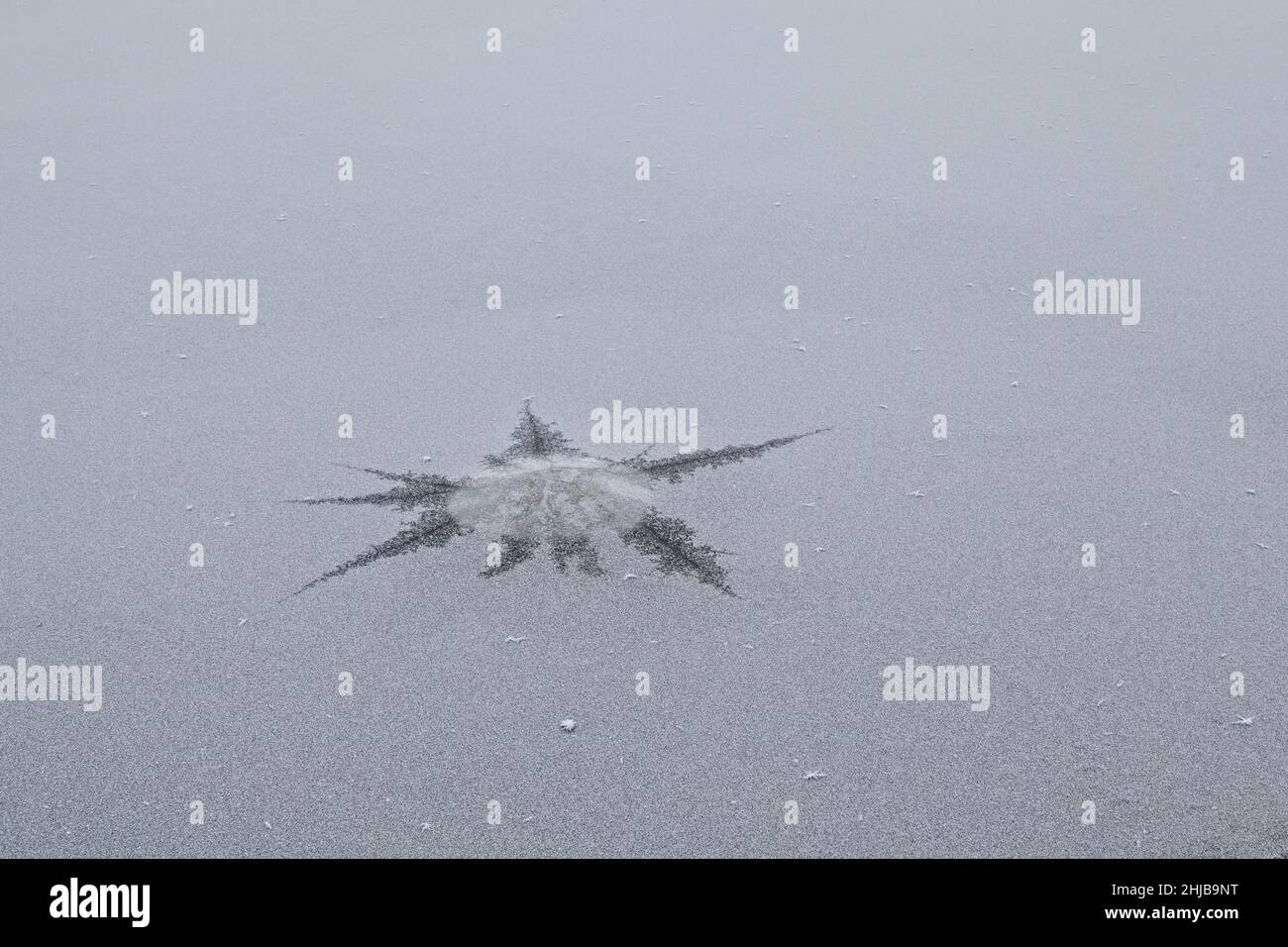 Formation d'étoiles sur glace de mer. Banque D'Images