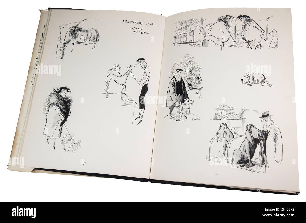 Livre classique Merry England de Ronald Searle première édition, publiée en 1956, de l'exposition canine Banque D'Images