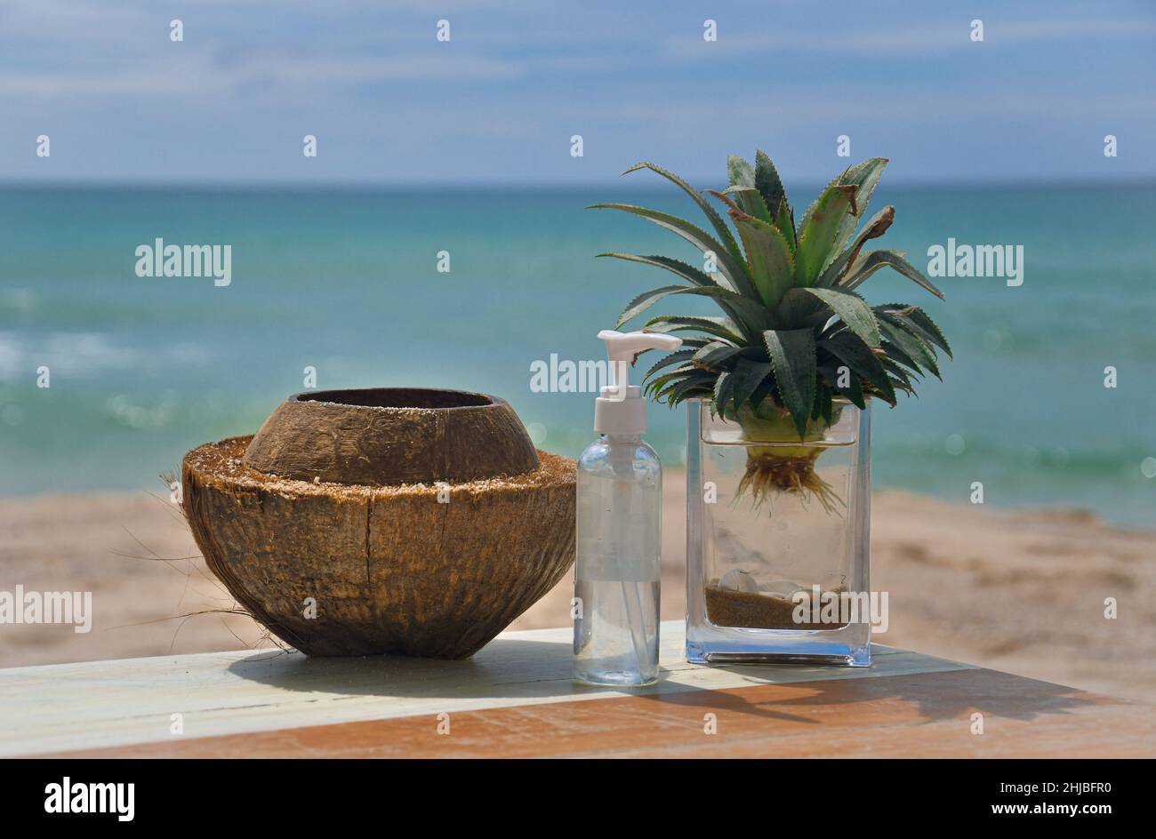 Un tableau encore vivant d'une noix de coco, d'ananas et d'assainisseur pour les mains sur une plage tropicale en Asie. Banque D'Images