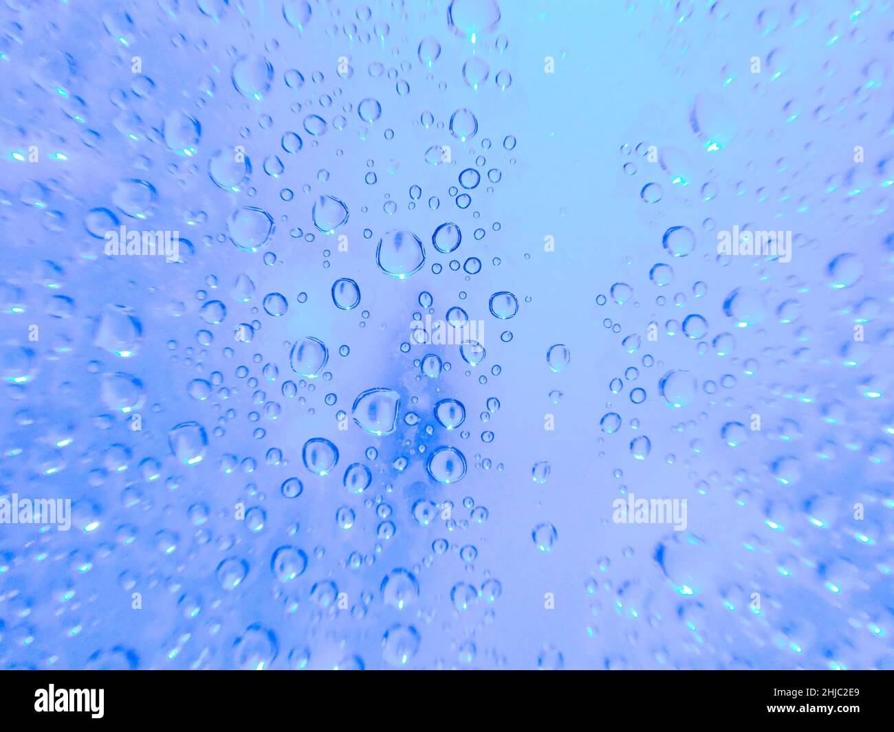 gros plan semi-abstrait de gouttelettes d'eau sur fond bleu clair Banque D'Images