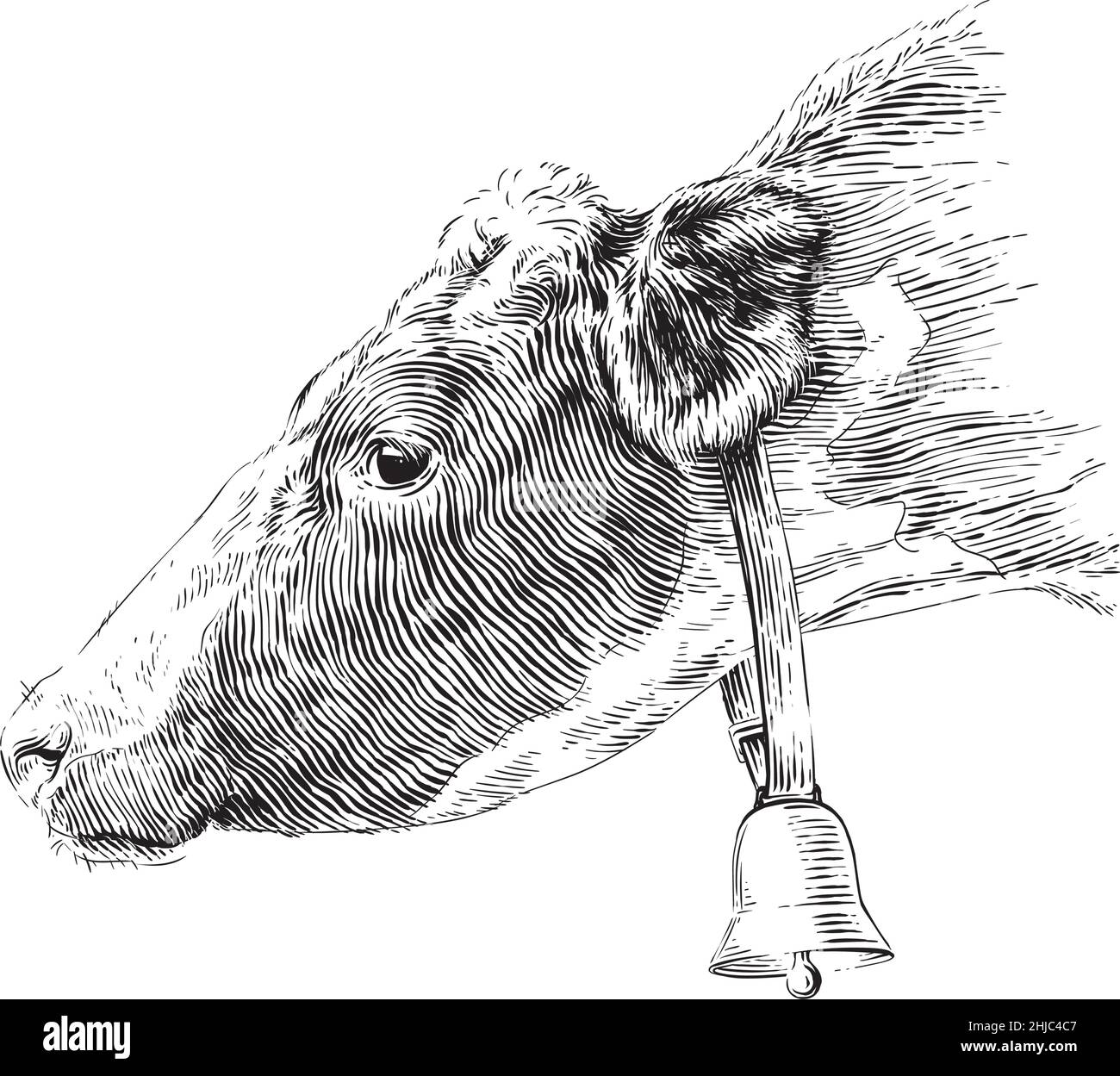 tête vache main dessin esquisse gravure style d'illustration Illustration de Vecteur