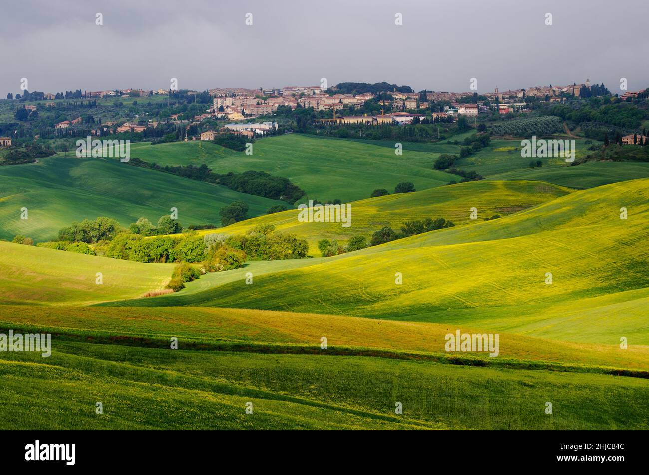 Printemps Toscane.Vue sur les champs verts éclairés par les rayons du soleil.Au loin, vous pouvez voir la ville de San Quirico d'Orcia Banque D'Images