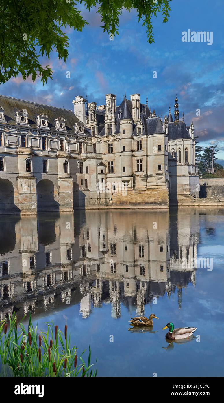 Le château Renaissance de Chenonceau enjambant le cher, Indre-et-Loire, construit en 1514-1522.Le pont au-dessus de la rivière a été construit (1556-1559) à Banque D'Images