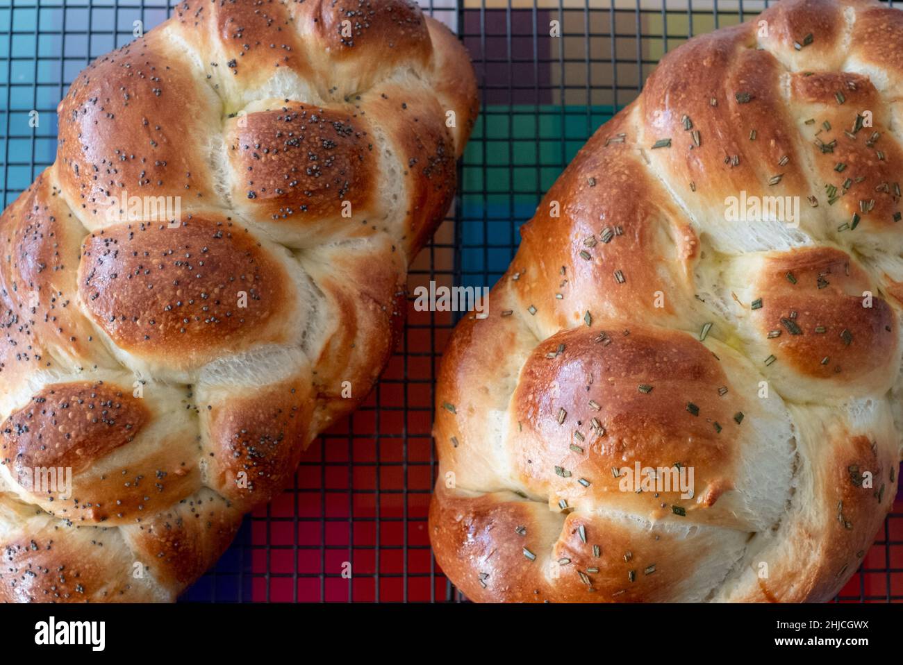 Vue de dessus de deux pains de Challa juifs tressés faits maison, rafraîchis sur un plateau en fil métallique, l'un recouvert de graines de pavot et l'autre de romarin. Banque D'Images