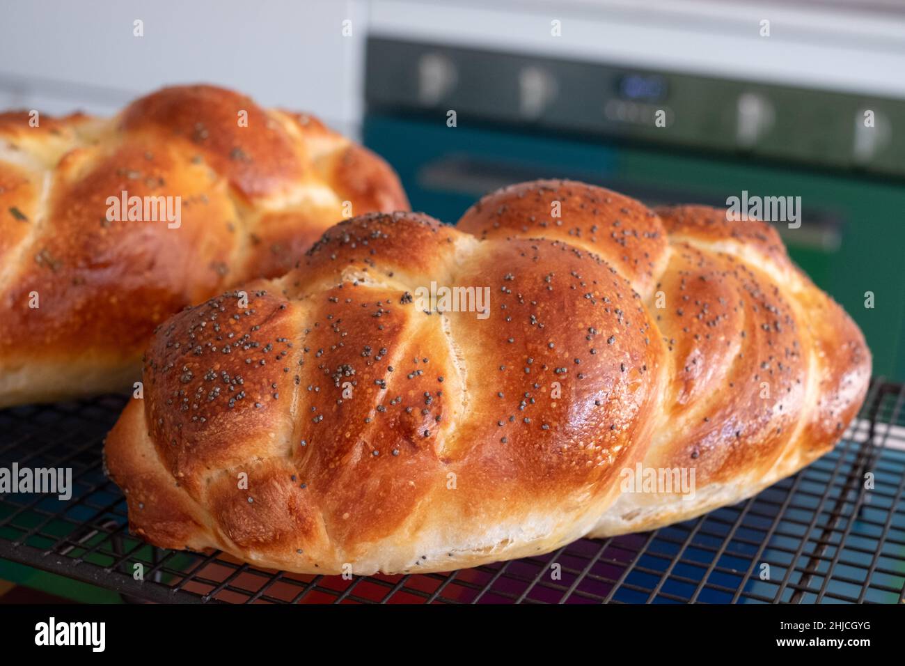 Deux pains de Challah traditionnels, cuits à la maison, rafraîchis sur un plateau en fil métallique. L'un est recouvert de graines de pavot et l'autre de romarin. Banque D'Images
