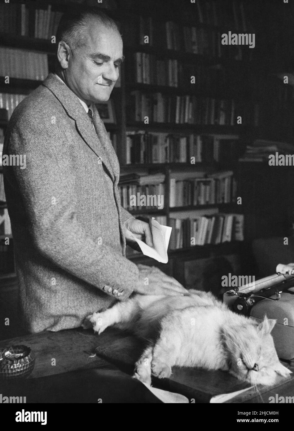 Alberto Moravia (1907-1990) dans son étude avec un chat persan.Moravia était un écrivain italien (né Alberto Pincherle) qui avait la tuberculose comme enfant, l'obligeant à étudier à la maison et à avoir beaucoup de temps pour le faire.À l'âge de 22 ans, il écrivit "le temps de l'indifférence", un roman critiquant le fascisme.Il n'a pas aimé Mussolini et était en campagne pendant la guerre à cause du harcèlement du gouvernement, l'obligeant à écrire sous le pseudonyme de Moravie. Banque D'Images