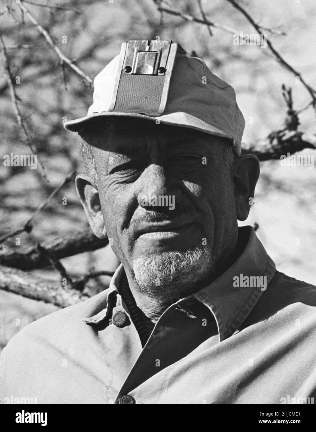 Auteur Américain Des Raisins De La Colère John Steinbeck (1902 - 1968), auteur américain et lauréat du prix Nobel  (1962).Steinbeck est connu pour des romans comme 'de souris et d'hommes',  'les raisins de la colère' et 'est d'Eden'.Photographié chez