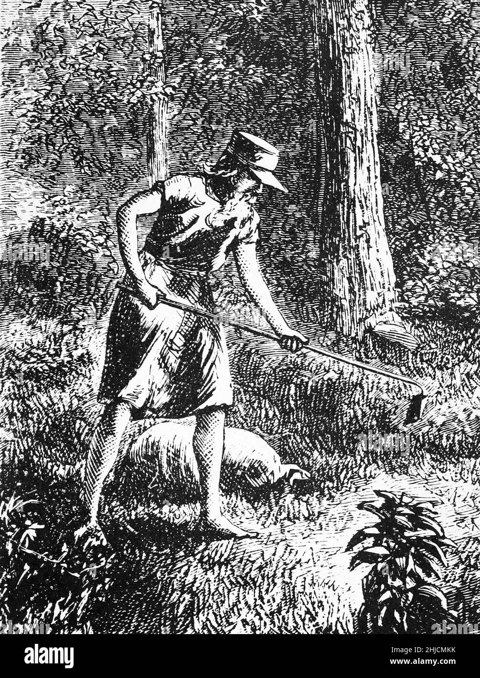 Une gravure de Johnny Appleseed, du New Monthly Magazine de Harper, 1871.John Chapman (1774-1845), plus connu sous le nom de Johnny Appleseed, était un pionnier américain, nurseryman, qui a introduit des pommiers dans de grandes parties de la Pennsylvanie, de l'Ohio, de l'Indiana, de l'Illinois et de l'Ontario, ainsi que dans les comtés du nord de la Virginie occidentale actuelle.Il est devenu une légende américaine avec ses activités de plantation d'arbres. Banque D'Images