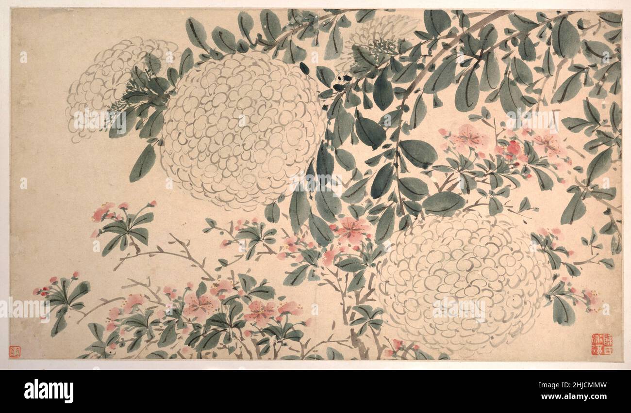 Fleurs de jardin par Chen Chun (1483‚Äì1544) créé en 1540, dynastie Ming. Banque D'Images