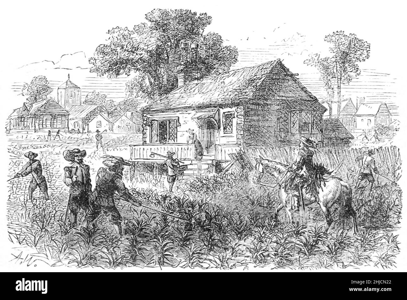 Une illustration des colons anglais cultivant une culture de tabac à Jamestown, c. 1615. La colonie de Jamestown dans la colonie de Virginie a été la première colonie anglaise permanente dans les Amériques. Banque D'Images