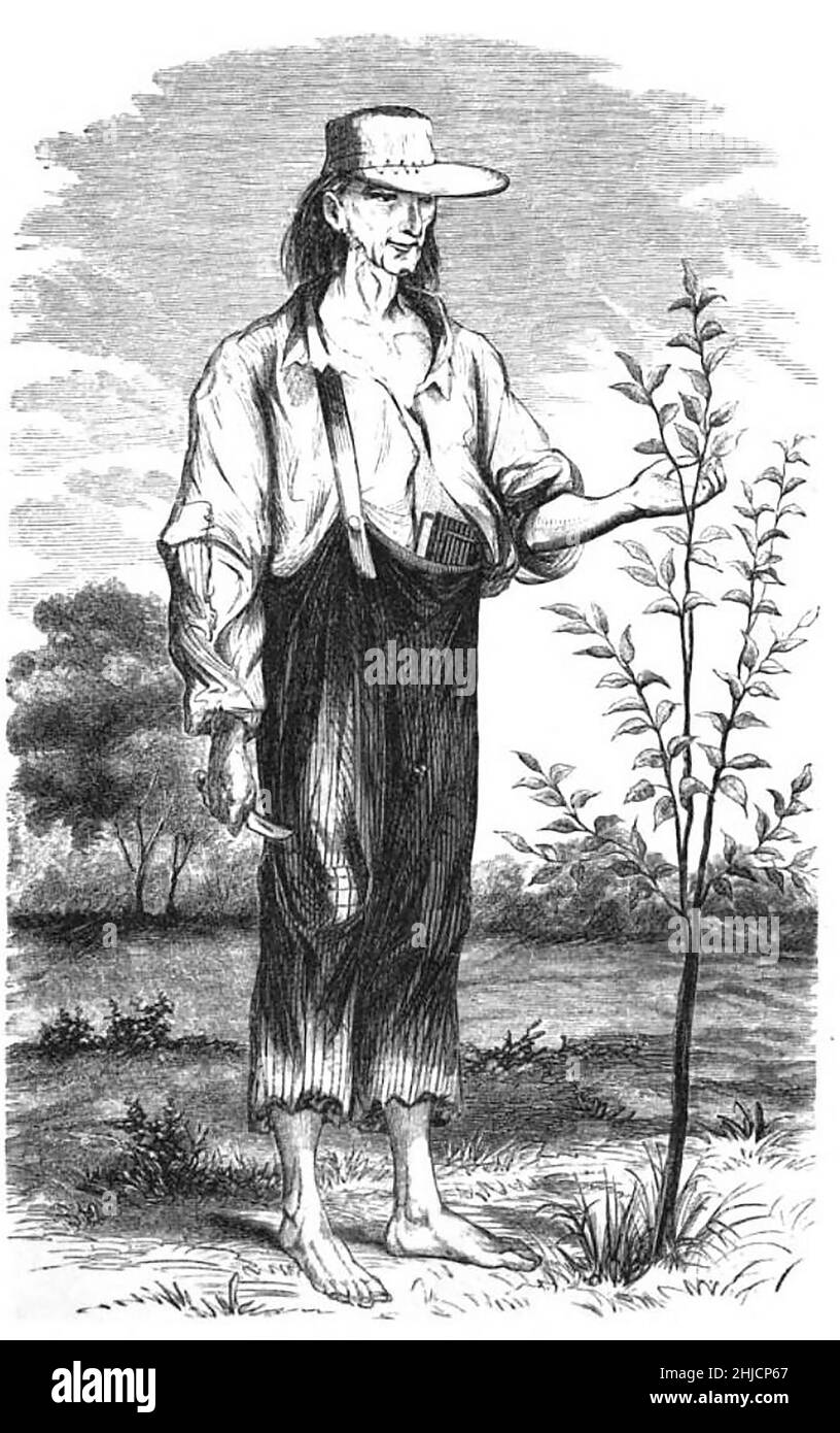 Un dessin de Johnny Appleseed, tiré de 'A History of the Pioneer and Modern Times of Ashland County' par H. S. Knapp, 1862.John Chapman (1774-1845), plus connu sous le nom de Johnny Appleseed, était un pionnier américain, nurseryman, qui a introduit des pommiers dans de grandes parties de la Pennsylvanie, de l'Ohio, de l'Indiana, de l'Illinois et de l'Ontario, ainsi que dans les comtés du nord de la Virginie occidentale actuelle.Il est devenu une légende américaine avec ses activités de plantation d'arbres. Banque D'Images