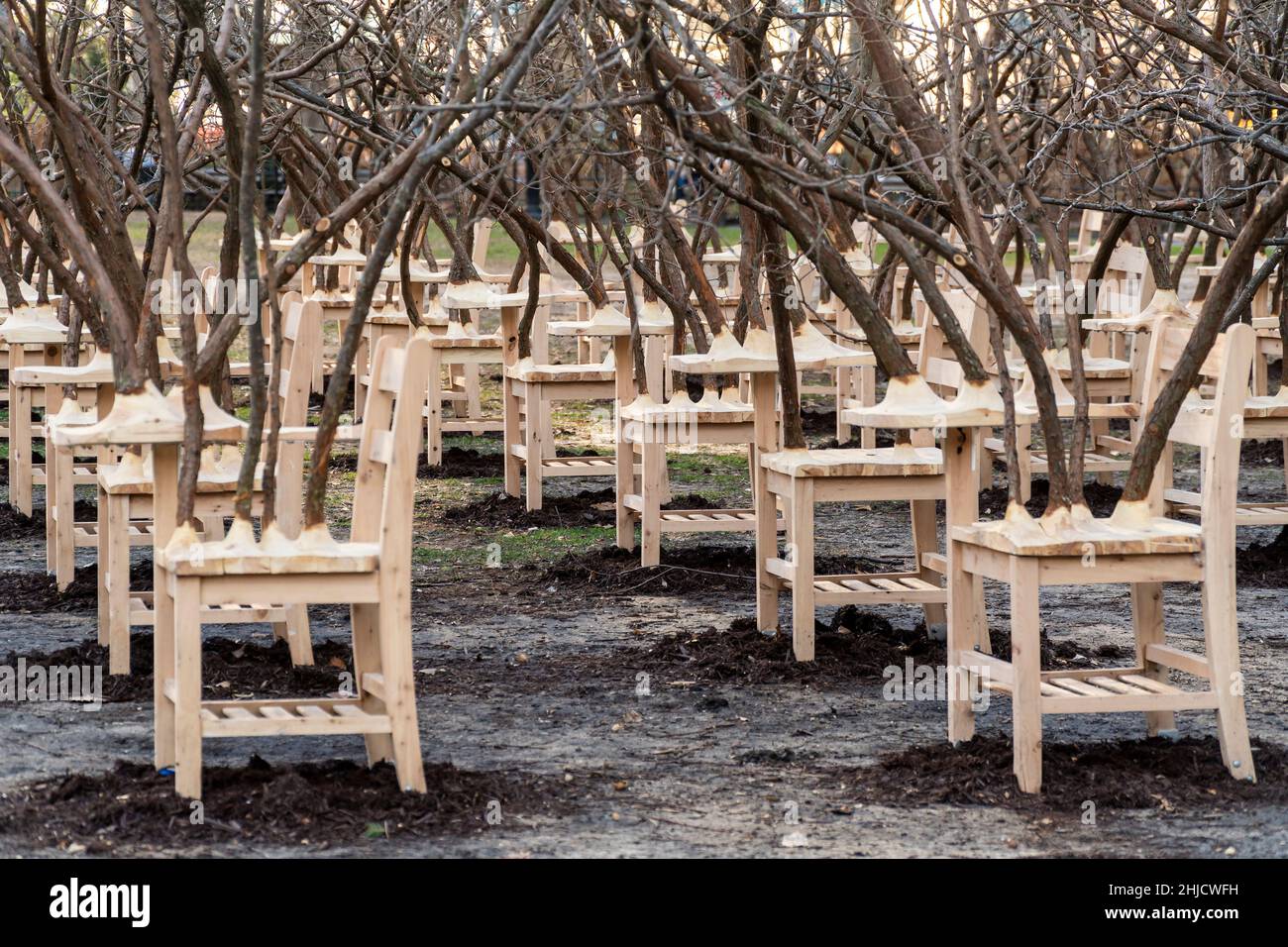 « BrierPatch » de l'artiste Hugh Hayden est vu sur une pelouse dans Madison Square Park à New York le mercredi 20 janvier 2022.Une centaine de bureaux d'école avec branches d'arbre émergent sont construits dans un modèle de grille référençant un patch de brier, qui est protecteur et dangereux en même temps.L'œuvre d'art publique sera en vue jusqu'au 24 avril 2022.(© Richard B. Levine) Banque D'Images