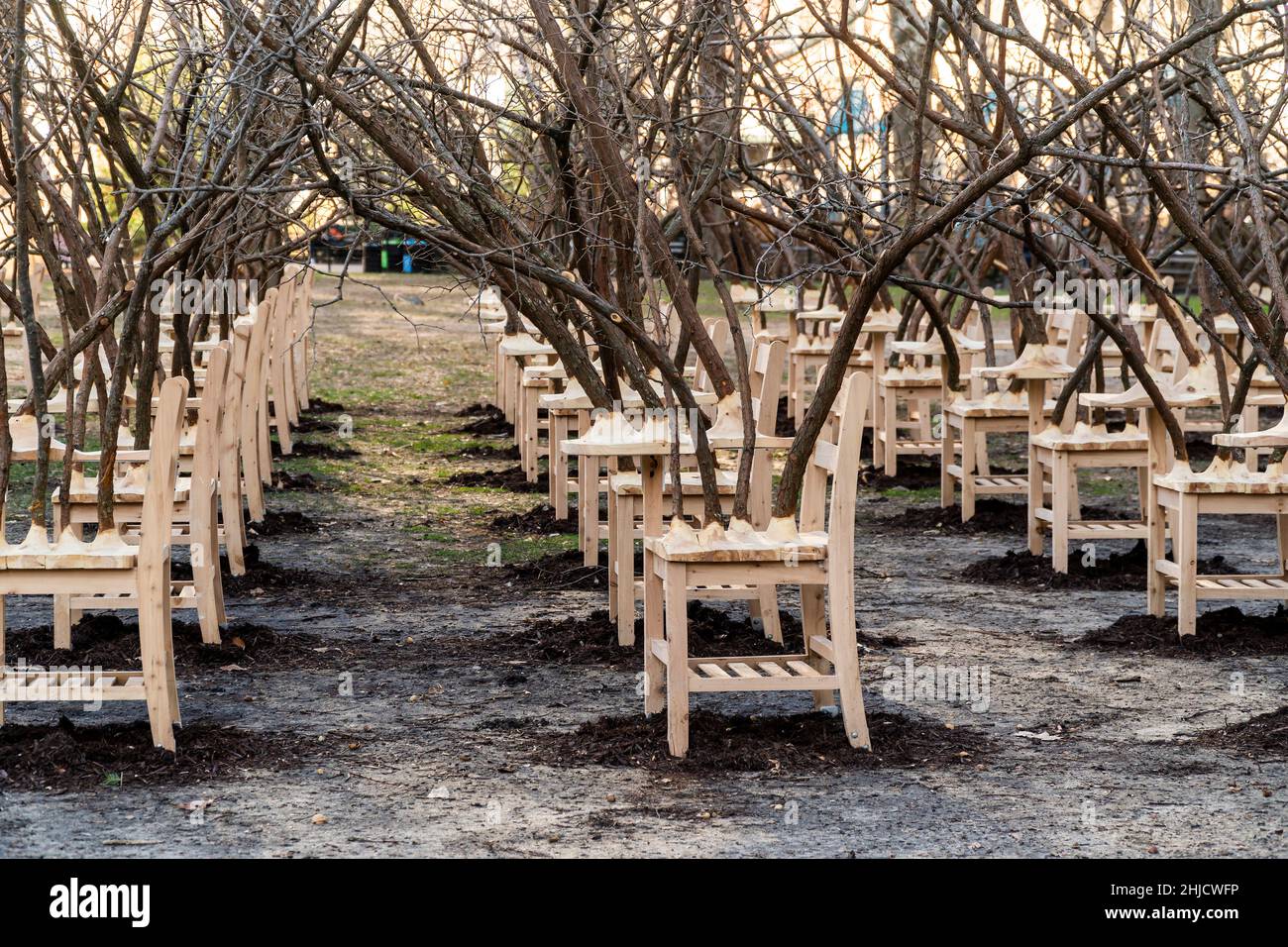 « BrierPatch » de l'artiste Hugh Hayden est vu sur une pelouse dans Madison Square Park à New York le mercredi 20 janvier 2022.Une centaine de bureaux d'école avec branches d'arbre émergent sont construits dans un modèle de grille référençant un patch de brier, qui est protecteur et dangereux en même temps.L'œuvre d'art publique sera en vue jusqu'au 24 avril 2022.(© Richard B. Levine) Banque D'Images